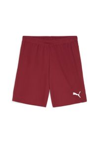 Szorty Puma TeamGloal. Kolor: czerwony, biały, wielokolorowy. Materiał: materiał. Sport: piłka nożna #1