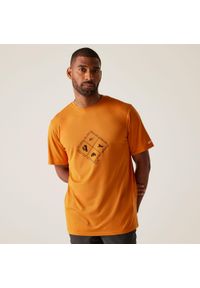 Regatta - Koszulka turystyczna męska Fingal Stretch. Kolor: pomarańczowy. Materiał: poliester, elastan. Sport: turystyka piesza #1