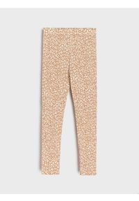 Sinsay - Legginsy - wielobarwny