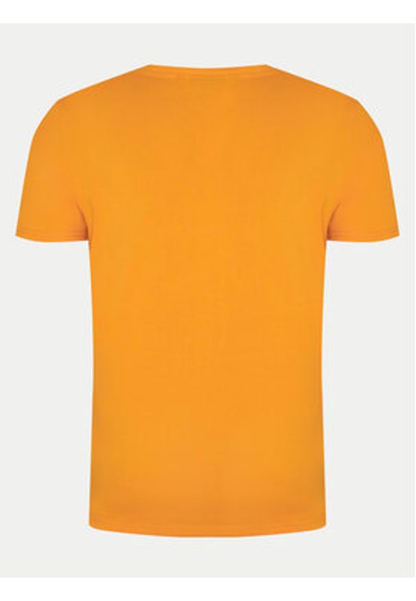 Napapijri T-Shirt Salis NP0A4H8D Pomarańczowy Regular Fit. Kolor: pomarańczowy. Materiał: bawełna