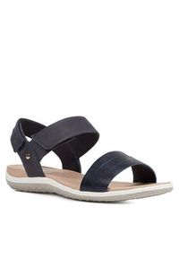 Geox Sandały D Sandal Vega D02R6F 09ACF C4322 Granatowy. Kolor: niebieski. Materiał: skóra #6