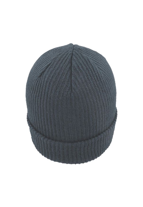 ATLANTIS - Skate Beanie. Kolor: szary