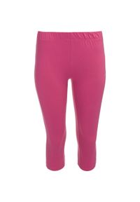 ALPINE PRO - Legginsy damskie Alpine Pro Nirma L - Oddychające i elastyczne. Kolor: zielony. Materiał: elastan, bawełna