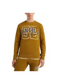 Bluza męska O'Neill Surf State Crew. Kolor: brązowy. Styl: klasyczny