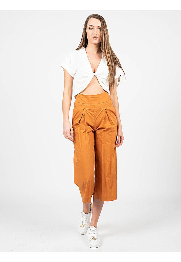 Pinko Spodnie "Teso 4" | 1G161E Y6VX | Teso 4 | Kobieta | Brązowy. Stan: podwyższony. Kolor: brązowy. Materiał: bawełna