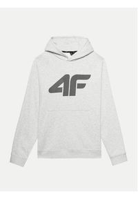 4f - 4F Bluza 4FWMM00TSWSM1464 Szary Regular Fit. Kolor: szary. Materiał: bawełna #8