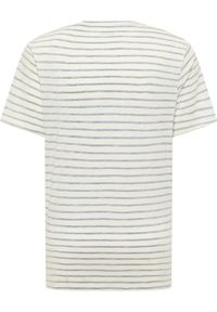 Męski T-Shirt Mustang Style Alex C Stripe Summer Stripe 1016269 12578 #4