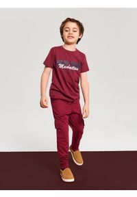 Sinsay - Bawełniana koszulka z napisem - bordowy. Kolor: czerwony. Materiał: bawełna. Wzór: napisy #1