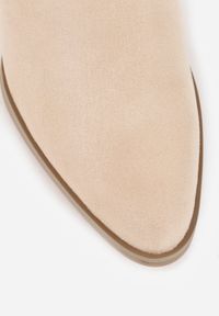 Renee - Beżowe Botki na Słupku z Wycięciem i Metaliczną Ozdobą Lorethra. Okazja: na co dzień, na spotkanie biznesowe, do pracy. Kolor: beżowy. Materiał: wełna, jeans. Wzór: aplikacja. Sezon: zima, jesień. Obcas: na słupku. Styl: casual, biznesowy, elegancki, klasyczny #8