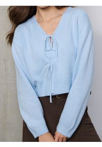 Sinsay - Sweter z kokardami - błękitny. Typ kołnierza: kokarda. Kolor: niebieski #1