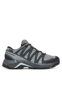 salomon - Salomon Trekkingi X-Adventure Recon Gore Tex L47813300 Szary. Kolor: szary #1