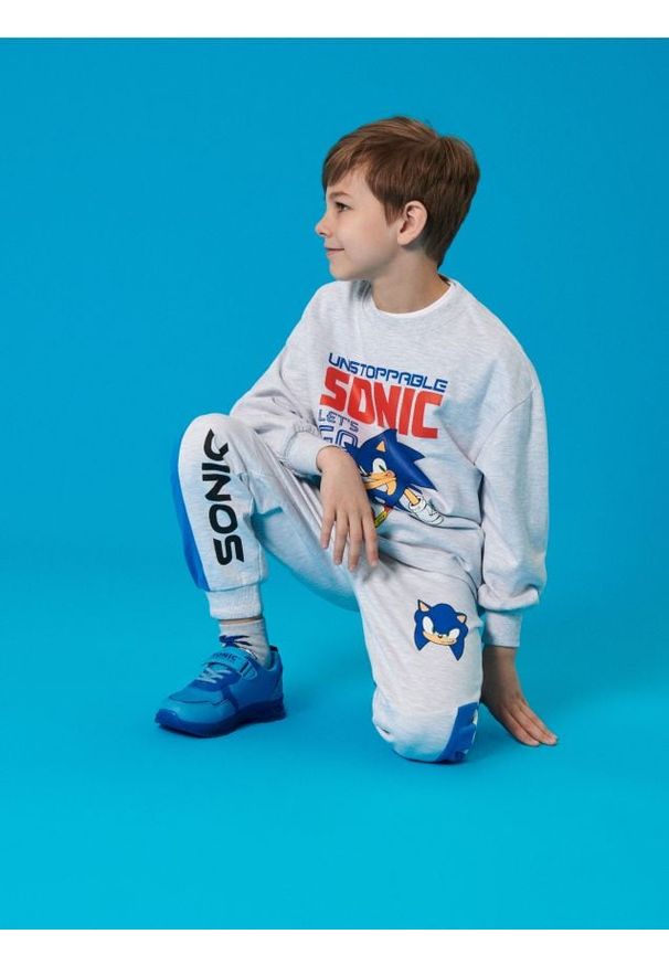 Sinsay - Spodnie dresowe ze ściągaczami Sonic the Hedgehog: Modern - szary. Kolor: szary. Materiał: dresówka