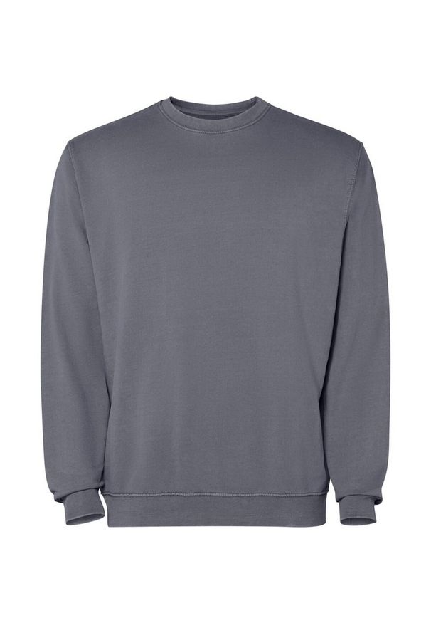ROLY - Bluza Unisex Dla Dorosłych Jaya Z Okrągłym Dekoltem. Kolor: szary