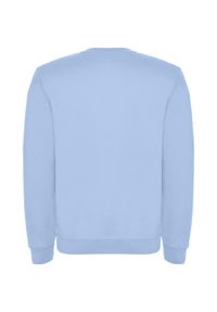 ROLY - Bluza Dziecięca Clasica Z Okrągłym Dekoltem. Kolor: niebieski