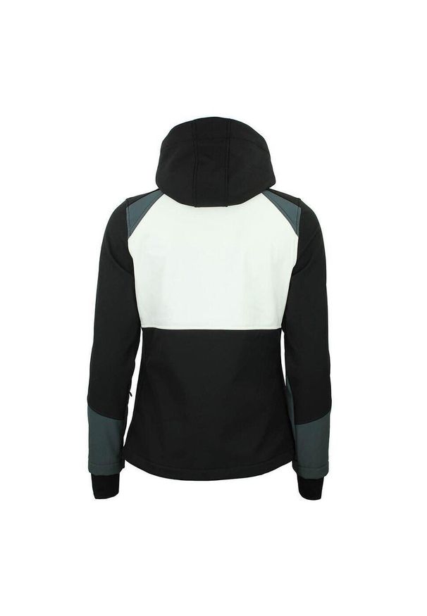 PEAK MOUNTAIN - Kurtka damska Peak Mountain Softshell Ametisffb. Typ kołnierza: kołnierzyk stójkowy. Kolor: czarny. Materiał: softshell