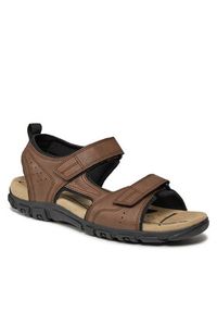 Geox Sandały Uomo Sandal Strada U4524B 000ME C6006 Brązowy. Kolor: brązowy. Materiał: skóra