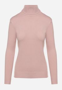 Born2be - Różowy Golf z Bawełną o Prostym Kroju Mevoresa. Okazja: na co dzień. Typ kołnierza: golf. Kolor: różowy. Materiał: bawełna. Styl: klasyczny, casual, elegancki #3