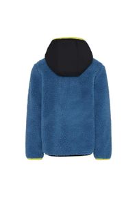 LEGO - Bluza polarowa dzicięce Lego Sky 710. Kolor: niebieski. Materiał: polar. Sport: turystyka piesza