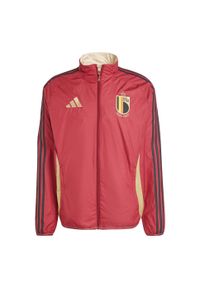 Adidas - Bluza Belgium Anthem. Kolor: czerwony, brązowy, beżowy, wielokolorowy. Materiał: materiał