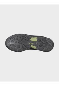 Whistler - Buty trekkingowe męskie Halti Fara Mid 2 DX. Kolor: czarny