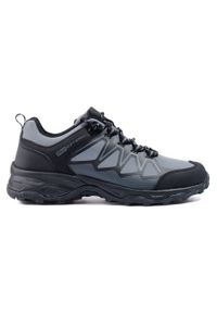Męskie buty trekkingowe DK szare czarne. Kolor: szary, czarny, wielokolorowy. Materiał: materiał