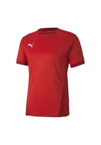 Puma - Męska Koszulka TeamGoal 23. Kolor: czerwony. Sport: turystyka piesza
