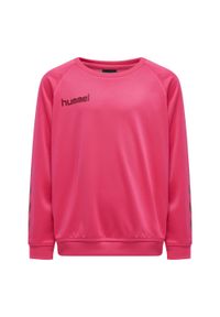 Bluza do piłki ręcznej dla dzieci Hummel Promo. Kolor: czerwony, wielokolorowy, różowy