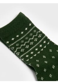 Big-Star - Skarpety damskie bawełniane z wzorem zielone Halia 304. Kolor: zielony. Materiał: bawełna