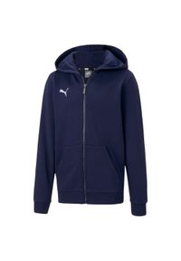 Bluza z kapturem Puma Teamgoal 23 Casuals Hooded Jacket Jr, Dzieci. Typ kołnierza: kaptur. Kolor: niebieski. Materiał: materiał, bawełna #1