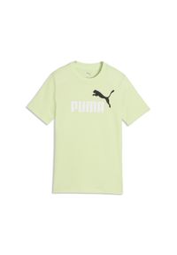 Puma - Młodzieżowa koszulka Essentials Colour z logo No.1 PUMA. Kolor: zielony. Materiał: guma. Wzór: nadruk. Sport: joga i pilates #1