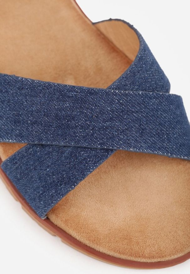 Renee - Niebieskie Płaskie Sandały VICES z Cholewką ze Skrzyżowanymi Paskami Emelika. Zapięcie: pasek. Kolor: niebieski. Wzór: haft. Styl: boho