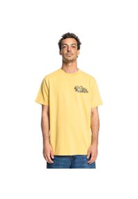 DC Shoes - Koszulka z krótkim rękawem dla Mężczyzn STANDOFF Żółty. Kolor: żółty. Materiał: materiał, bawełna. Długość rękawa: krótki rękaw. Długość: krótkie. Wzór: nadruk