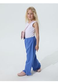 Sinsay - Jeansy wide leg z ozdobną falbanką - niebieski. Kolor: niebieski #1