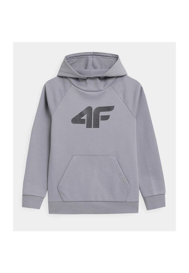 4f - odzież Dziecięce 4F. Kolor: szary