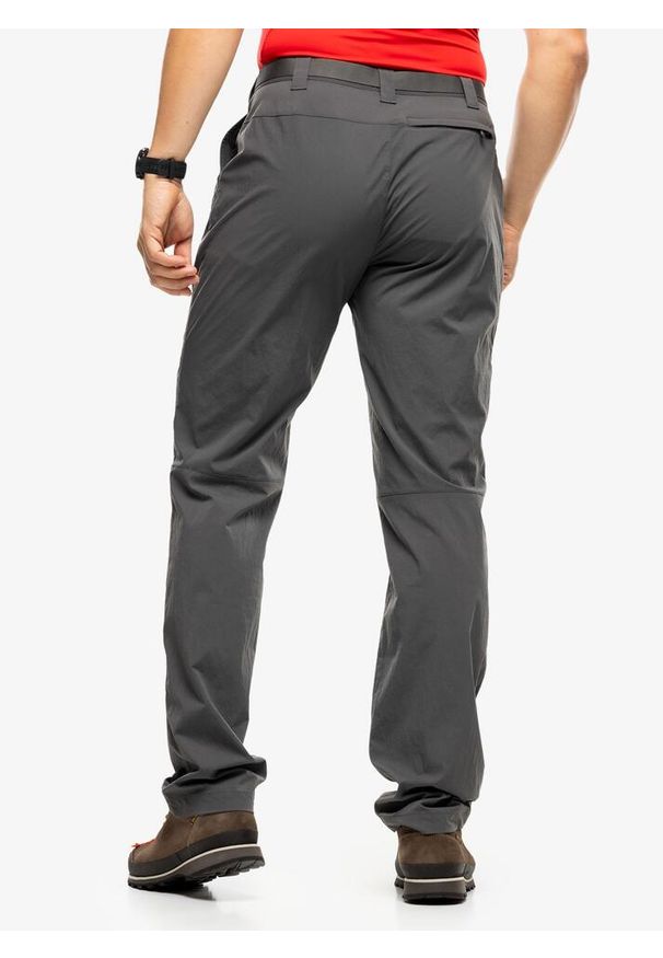 Spodnie trekkingowe męskie Montane Terra Lite Pants. Kolor: szary. Sezon: lato. Sport: turystyka piesza