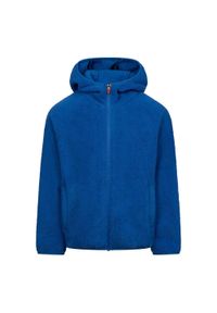 TRESPASS - Bluza Polarowa Dziecięca Minally. Kolor: niebieski. Materiał: polar. Sezon: zima. Sport: turystyka piesza