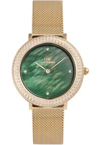 Zegarek damski Daniel Wellington DW00100824 CYRKONIE złoty. Kolor: złoty #1