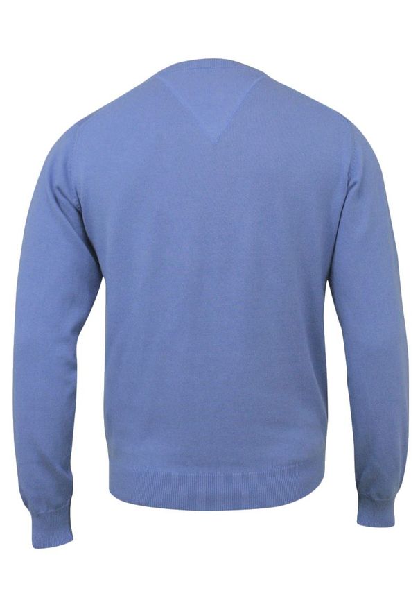 Sweter Błękitny w Serek (V-neck), Męski, Klasyczny, Elegancki -Adriano Guinari. Okazja: na co dzień, na spotkanie biznesowe, do pracy. Typ kołnierza: dekolt w serek. Kolor: niebieski. Materiał: bawełna. Styl: elegancki, klasyczny