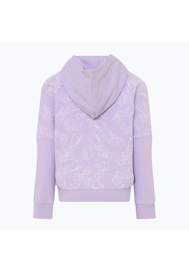 LEGO Wear - Bluza trekkingowa dziecięca LEGO Lwstorm 214. Kolor: fioletowy