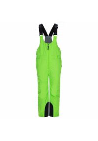 Dziecięce spodnie narciarskie Kilpi Daryl. Kolor: zielony. Sezon: zima. Sport: narciarstwo #1