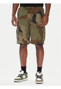 DC Szorty materiałowe Tundra ADYWS03086 Zielony Regular Fit. Kolor: zielony. Materiał: bawełna