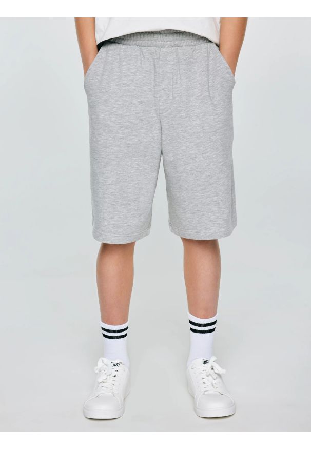 Big-Star - Szorty chłopięce dresowe szare Doner 901. Kolor: szary. Materiał: dresówka. Wzór: haft. Styl: klasyczny, sportowy