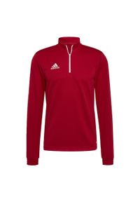 Bluza piłkarska męska Adidas Entrada 22 Training Top. Kolor: wielokolorowy, czerwony, biały. Sport: piłka nożna