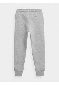 4f - Spodnie dresowe dziewczęce. Okazja: na co dzień. Kolor: szary. Materiał: dresówka. Styl: casual #2