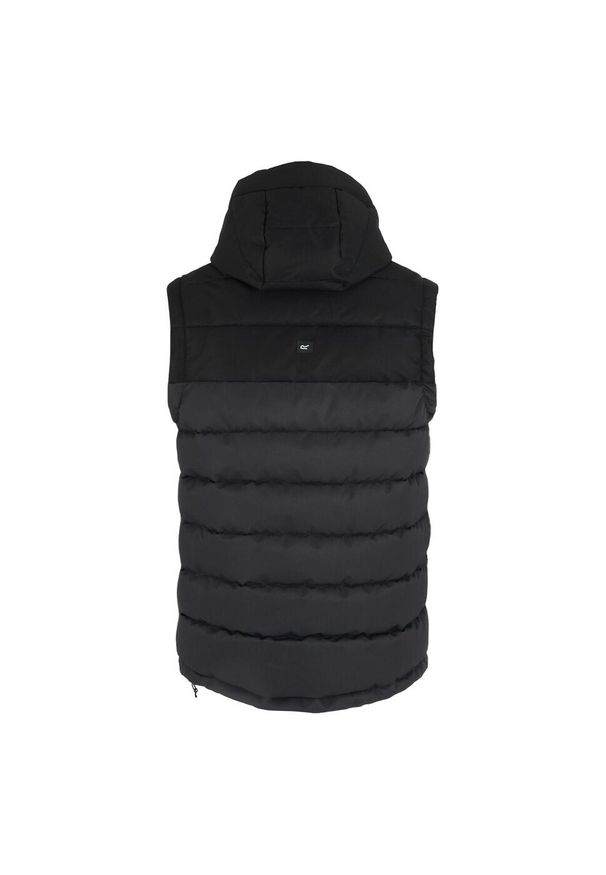 Regatta - Męski Ogrzewacz Do Ciała Aldthorn. Kolor: wielokolorowy, szary, fioletowy, czarny. Styl: sportowy. Sport: turystyka piesza