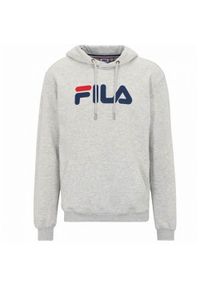 Bluza treningowa męska Fila Barumini. Typ kołnierza: kaptur. Kolor: szary