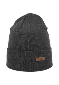 100% - Czapka zimowa męska Eisglut Toni Cotton szara. Kolor: szary. Sezon: zima. Styl: sportowy