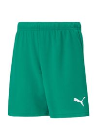 Spodenki piłkarskie dla dzieci Puma teamRISE Short Jr. Kolor: zielony, biały, wielokolorowy