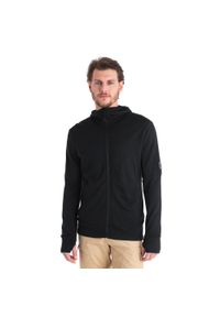 Icebreaker - Bluza trekkingowa męska icebreaker Merino 260 Quantum IV. Kolor: czarny