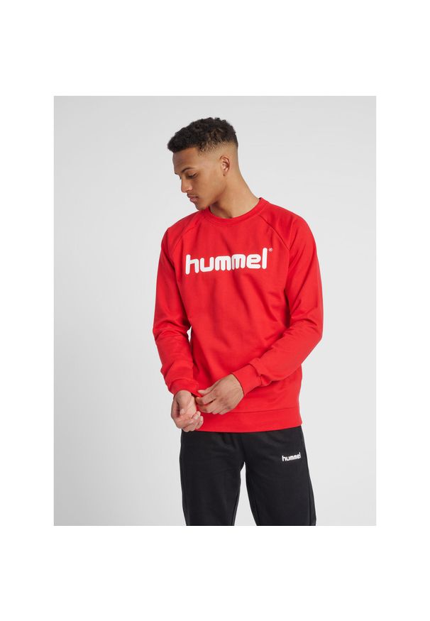 Bluza do piłki ręcznej męska Hummel Cotton Logo. Kolor: czerwony, różowy, wielokolorowy. Materiał: bawełna
